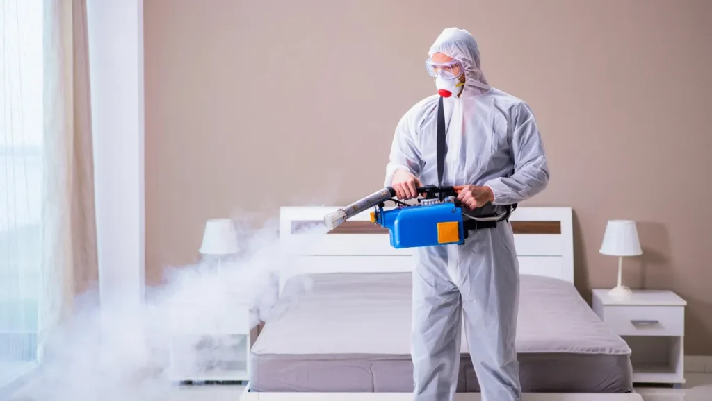 jaka firma robi dezynsekcje