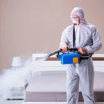 jaka firma robi dezynsekcje